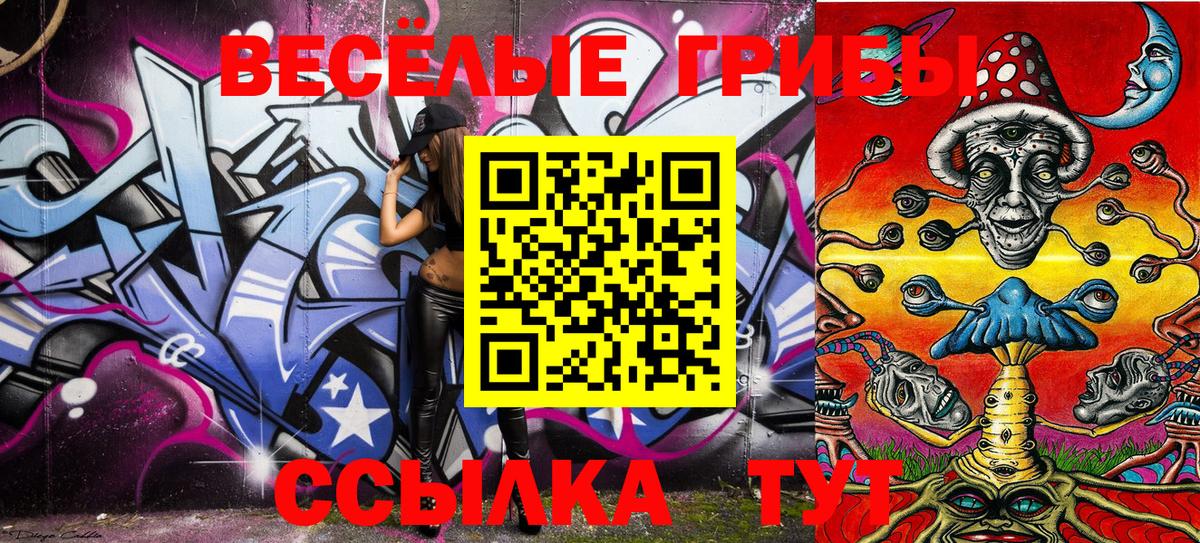 Галлюциногенные грибы Psilocybe Нижнекамск