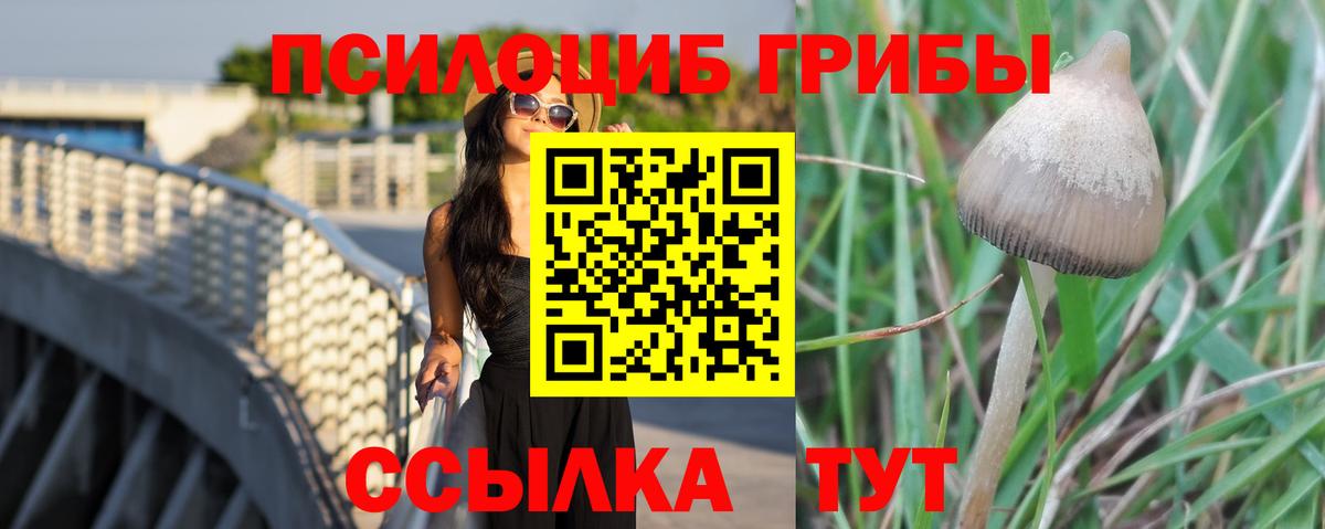 Галлюциногенные грибы Cubensis  Вход с VPN  закладка  Нижнекамск 
